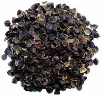 Buckwheat Hulls